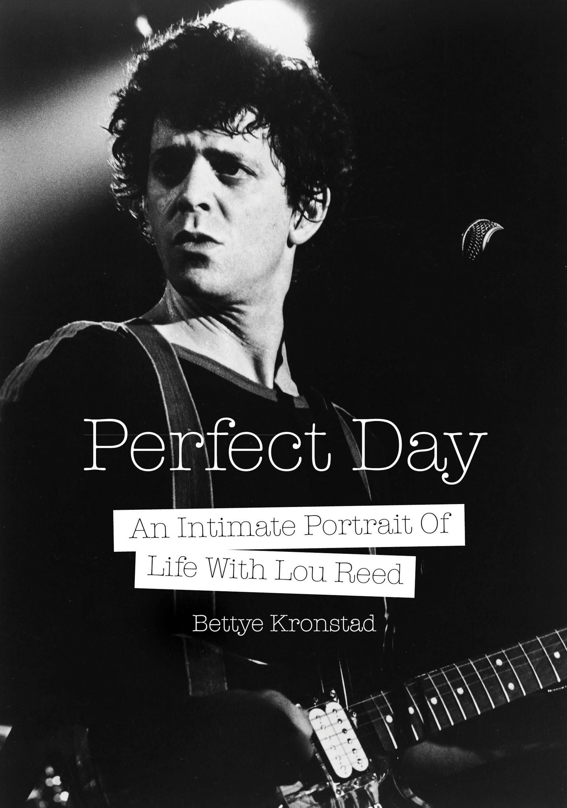 Vorderes Coverbild Perfect Day
