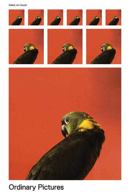 Vorderes Coverbild Ordinary Pictures