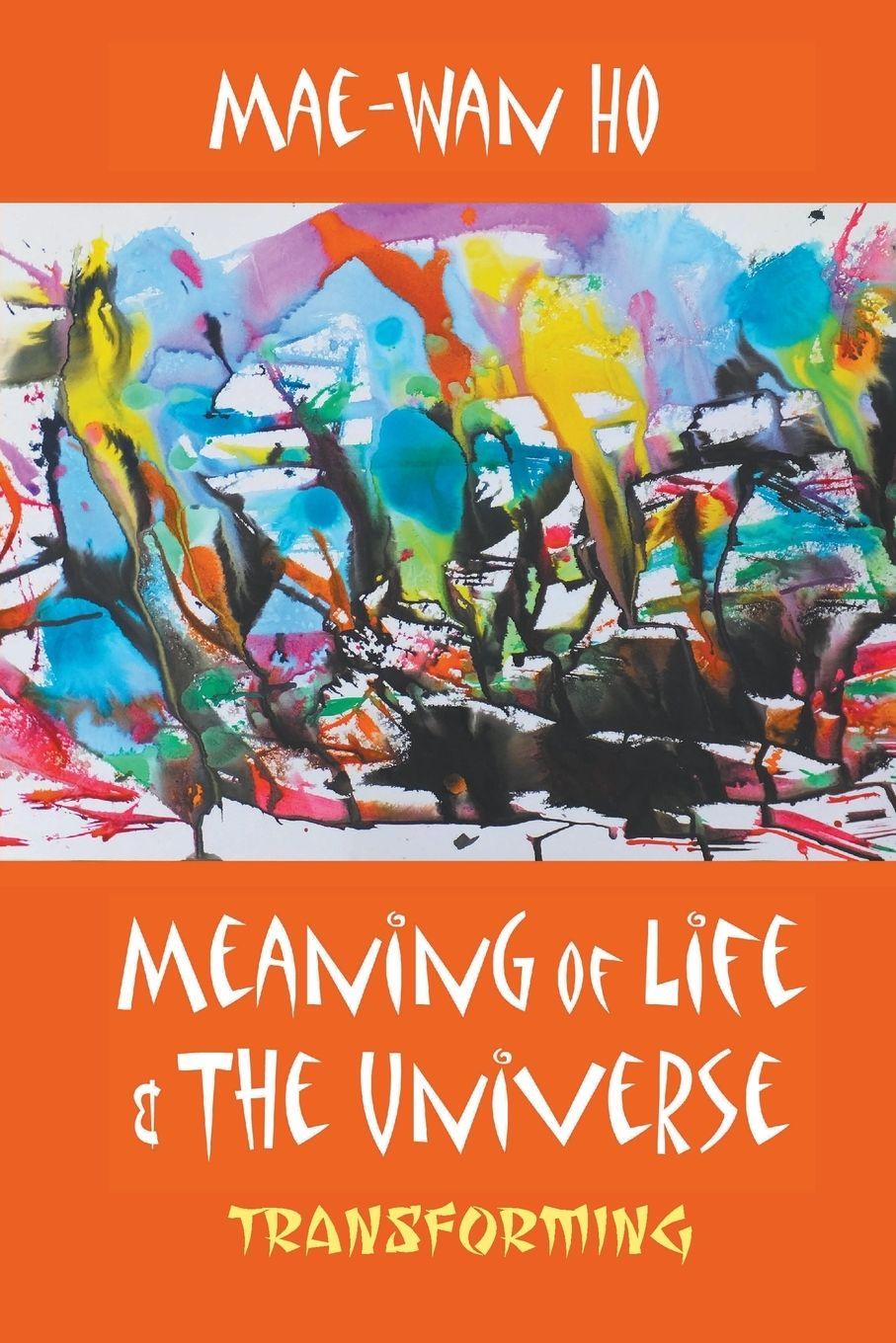 Vorderes Coverbild MEANING OF LIFE AND THE UNIVERSE