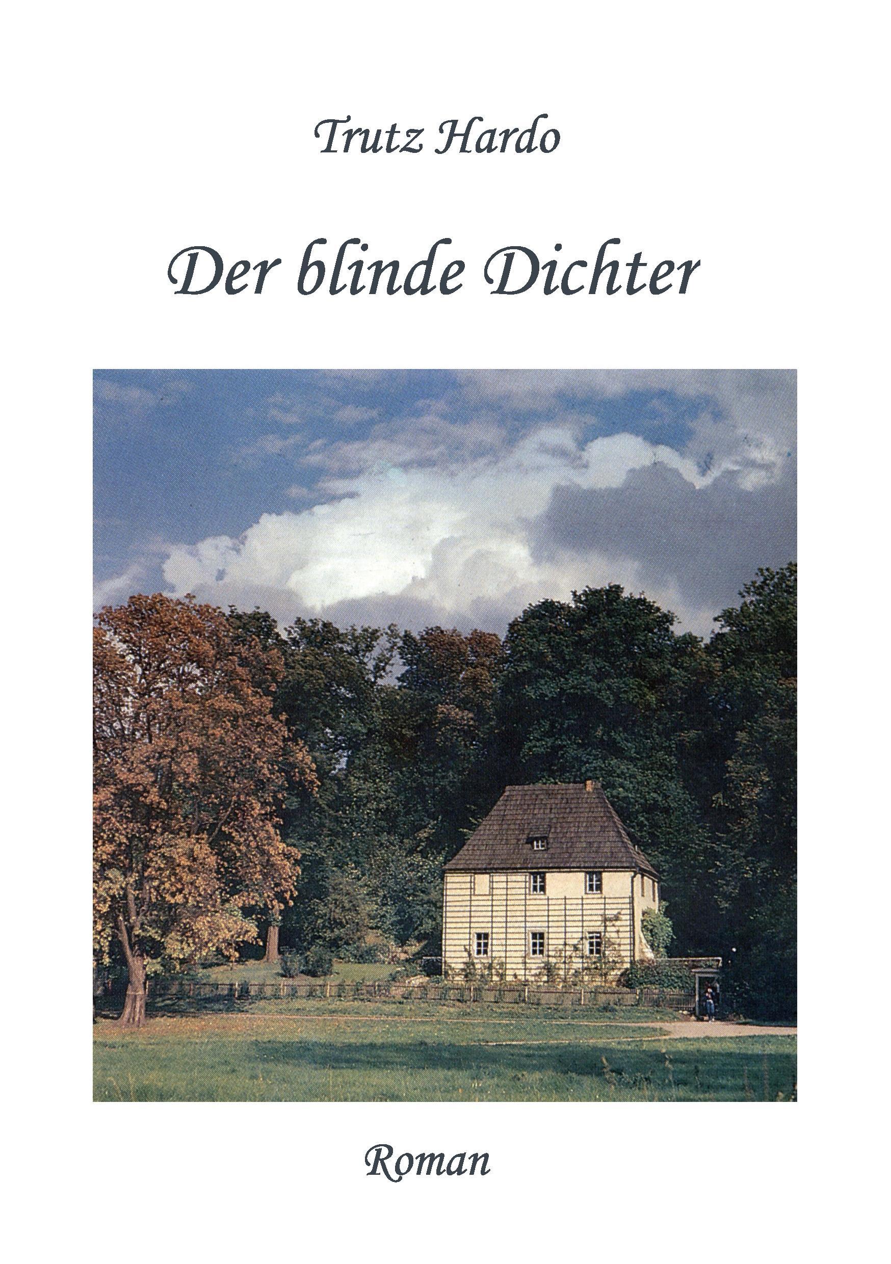 Vorderes Coverbild Der blinde Dichter