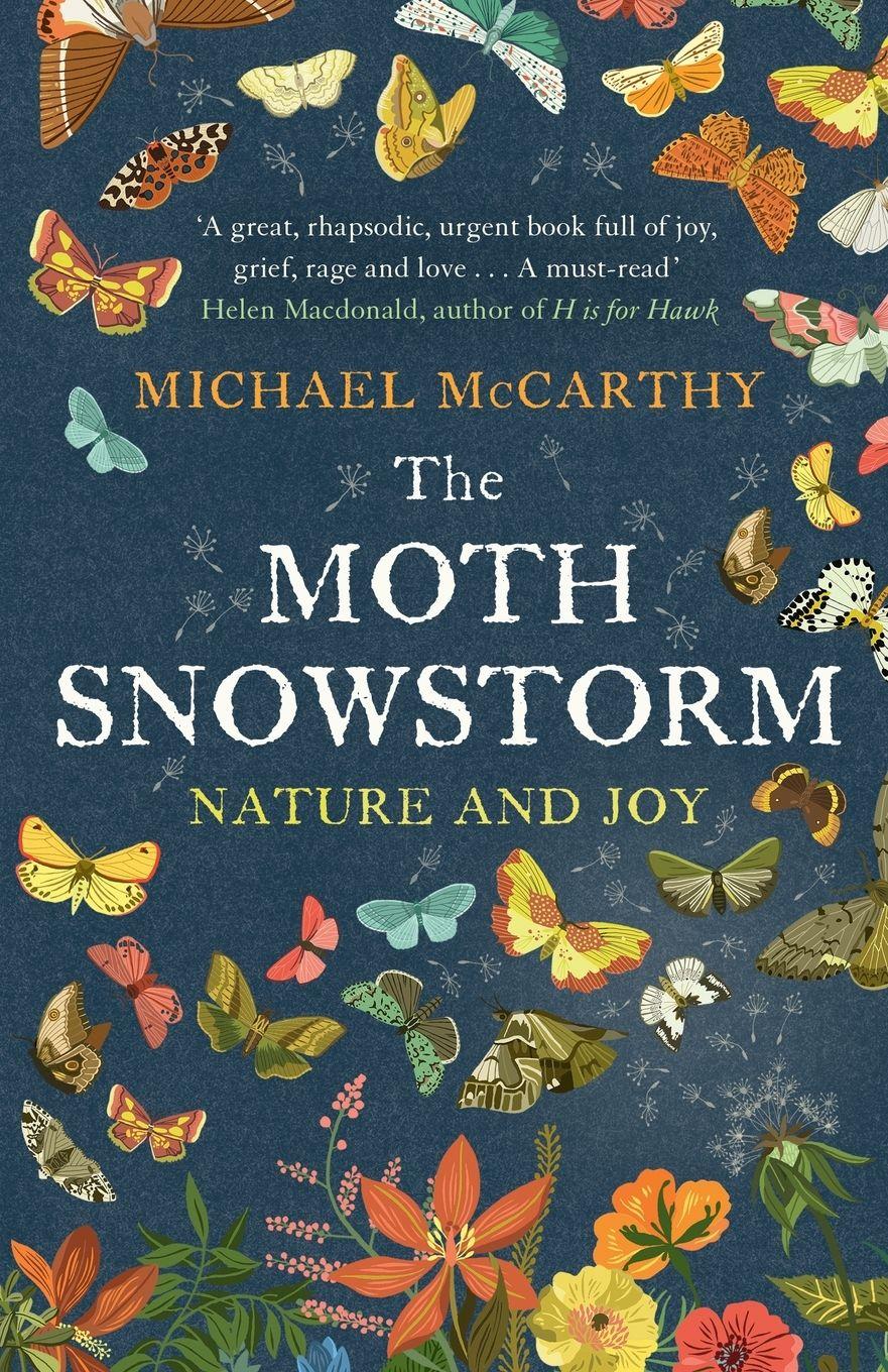 Vorderes Coverbild The Moth Snowstorm