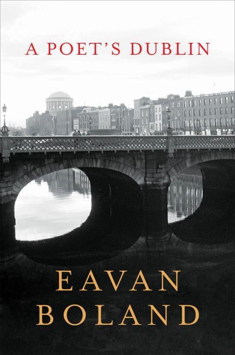 Vorderes Coverbild A Poet's Dublin