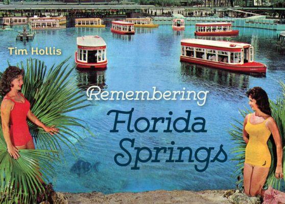 Vorderes Coverbild Remembering Florida Springs