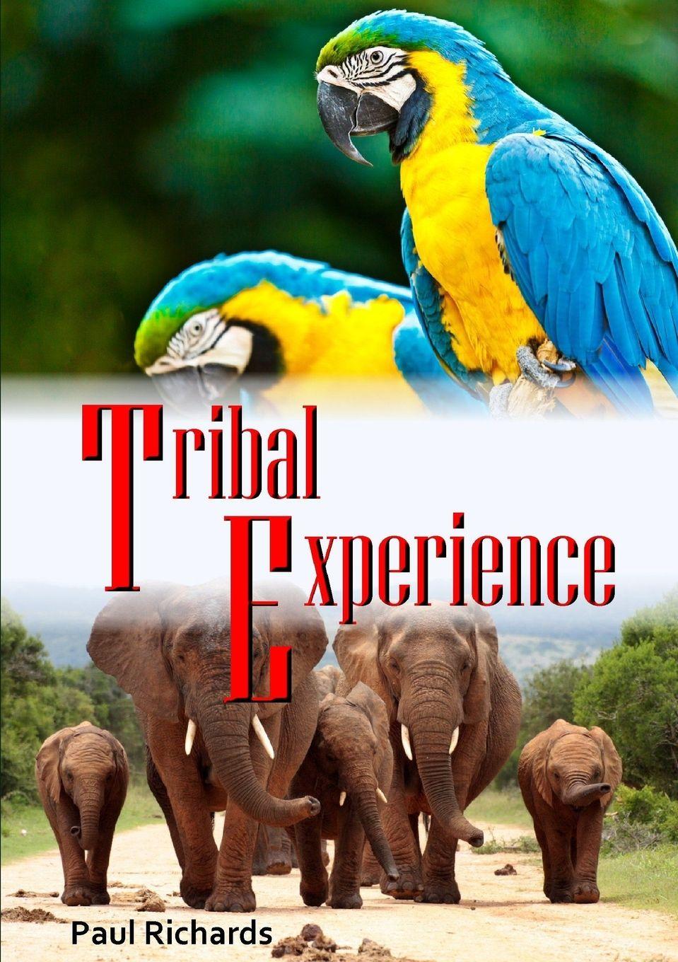 Vorderes Coverbild Tribal Experience