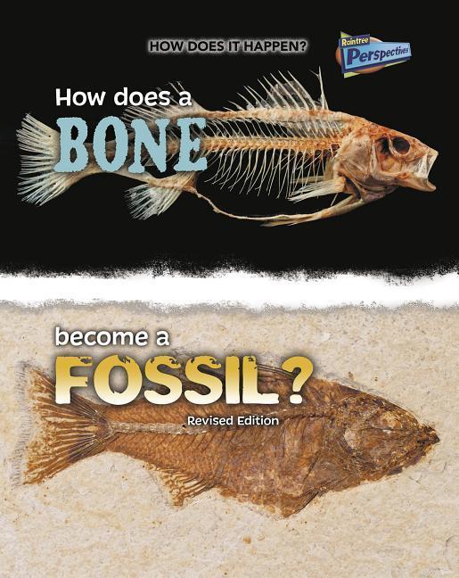Vorderes Coverbild How Does a Bone Become a Fossil?