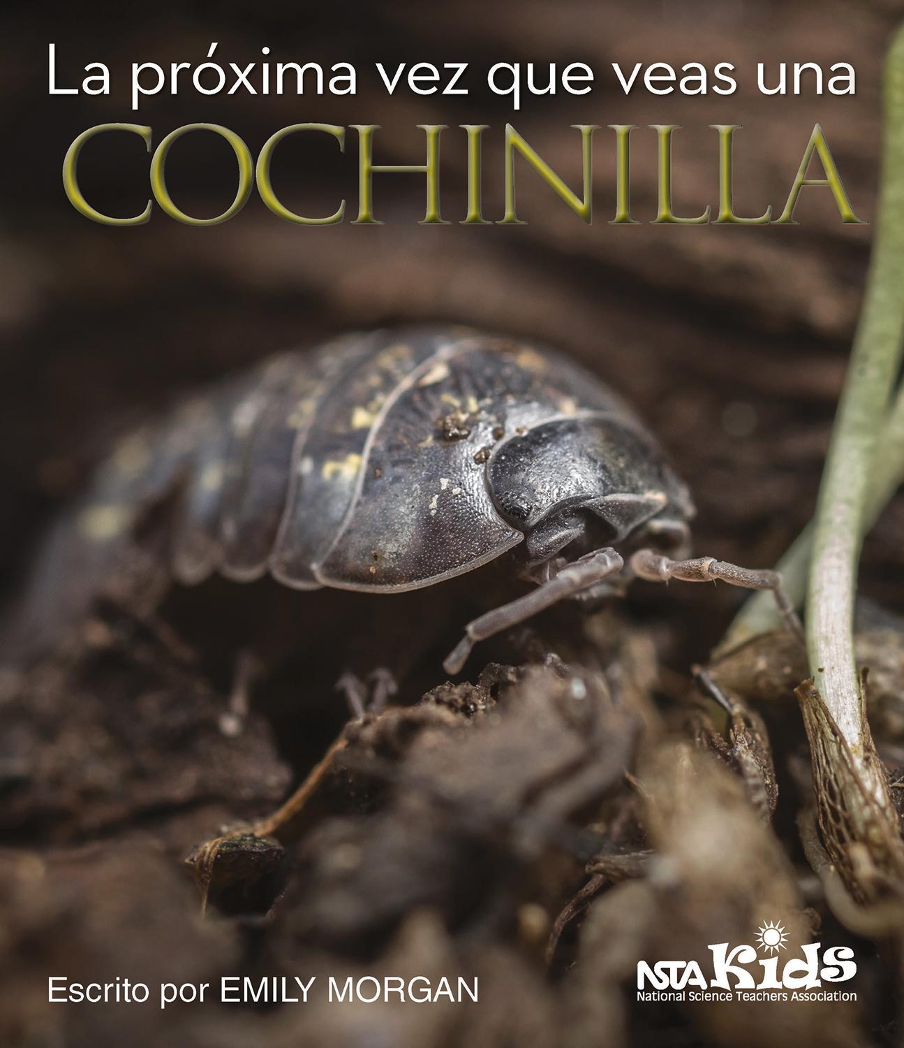 Vorderes Coverbild La Próxima Vez Que Veas Una Cochinilla