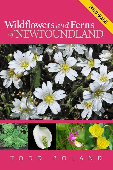 Vorderes Coverbild Wildflowers and Ferns of Newfoundland and Labrador