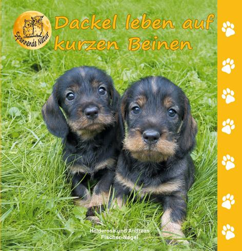 Vorderes Coverbild Dackel leben auf kurzen Beinen