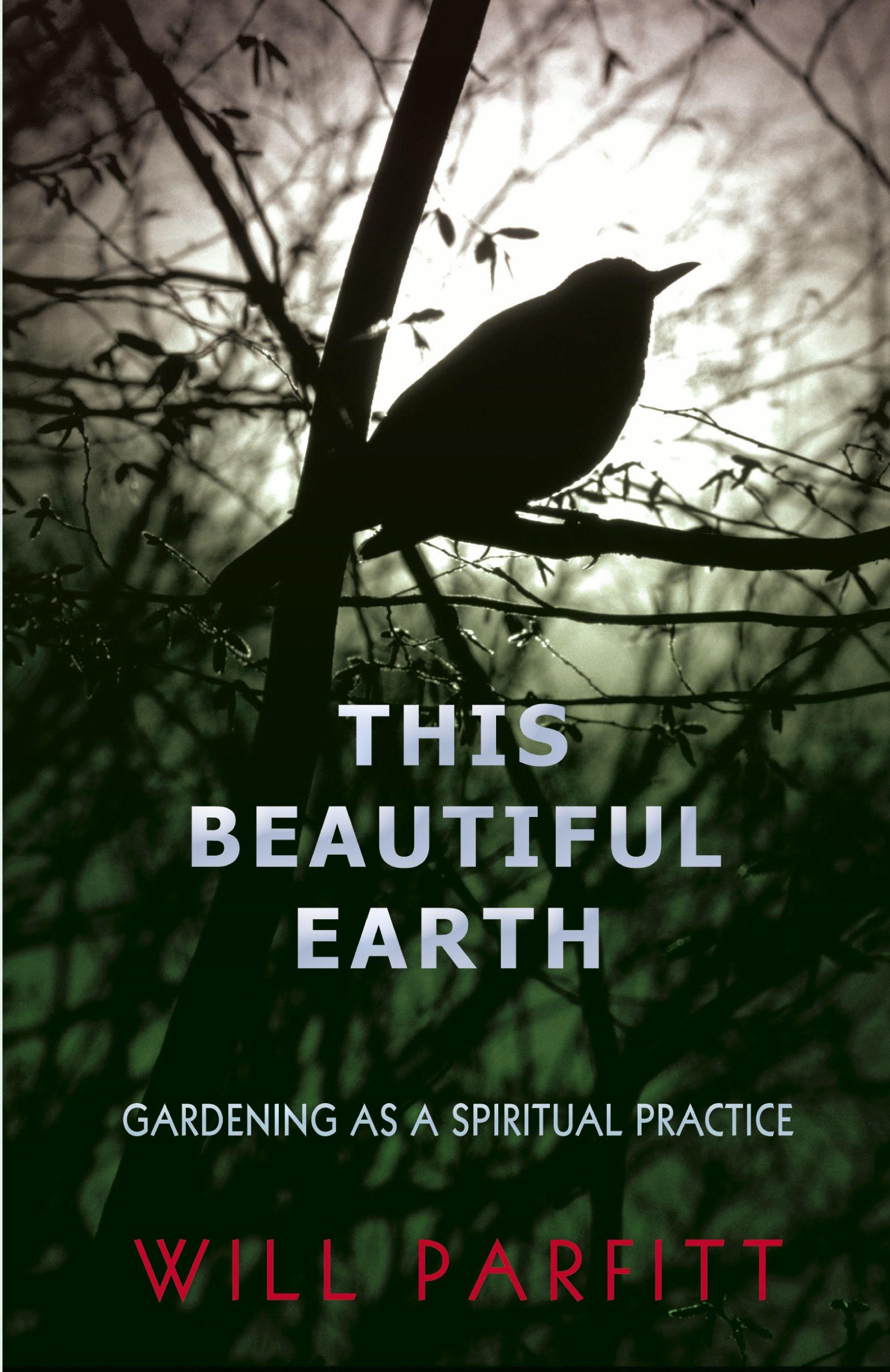 Vorderes Coverbild This Beautiful Earth