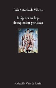 Vorderes Coverbild Imágenes en fuga de esplendor y tristeza