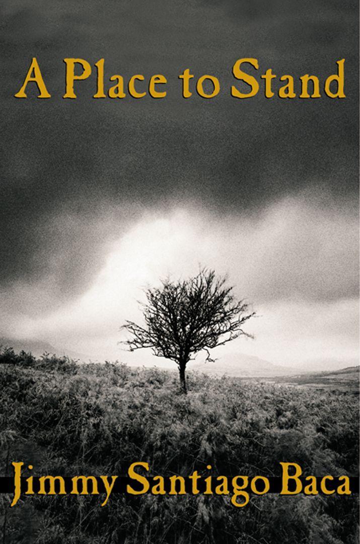 Vorderes Coverbild A Place to Stand
