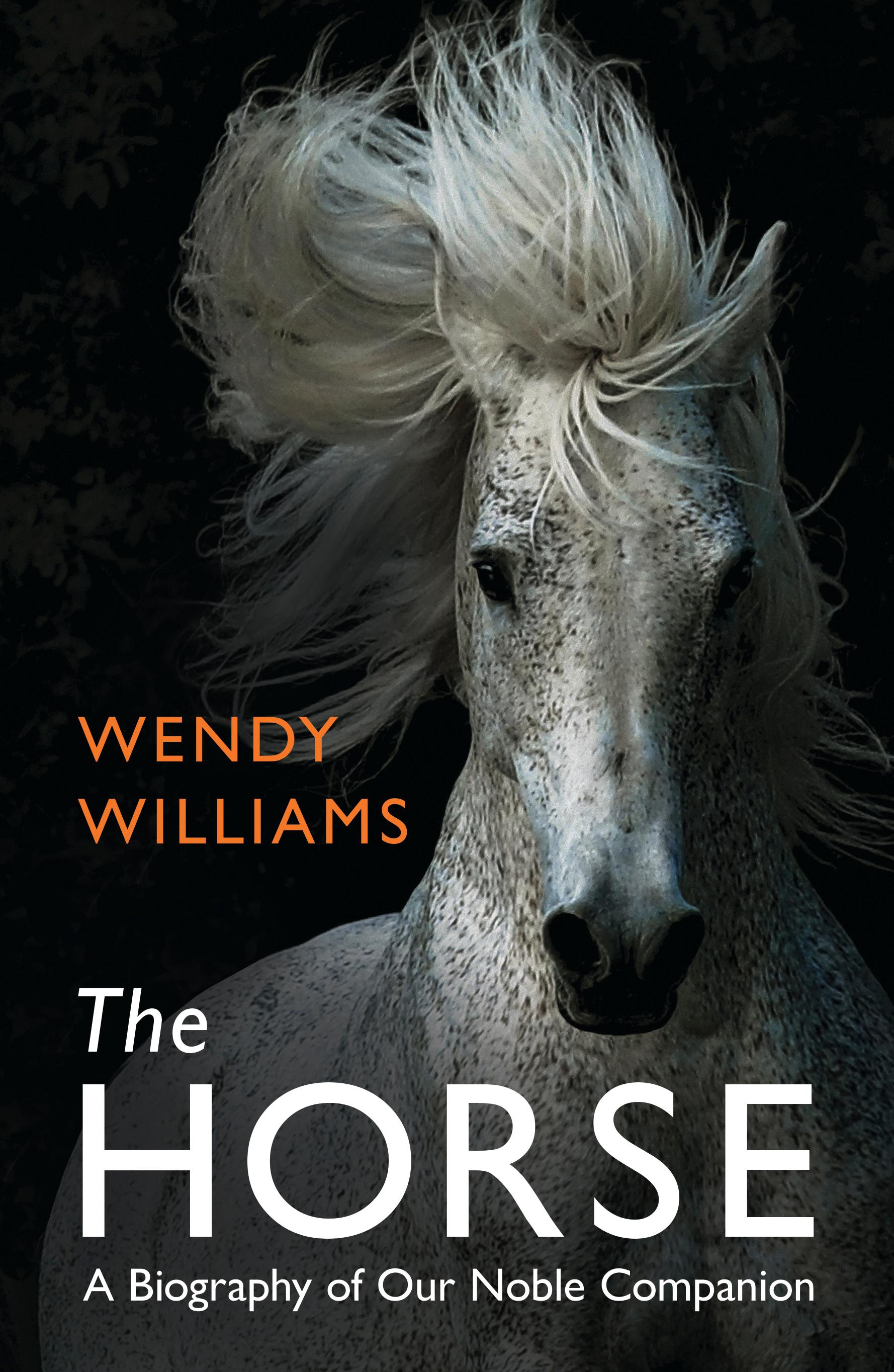 Vorderes Coverbild The Horse