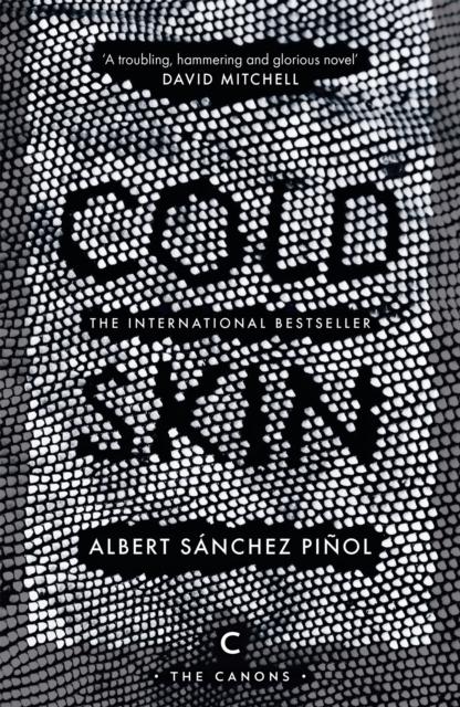 Vorderes Coverbild Cold Skin