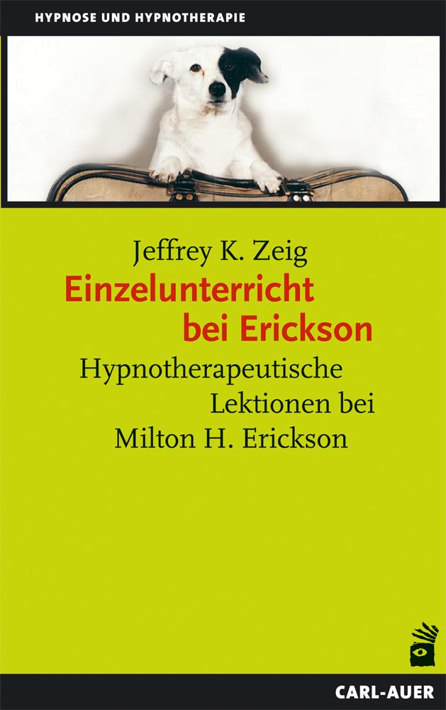 Vorderes Coverbild Einzelunterricht bei Erickson