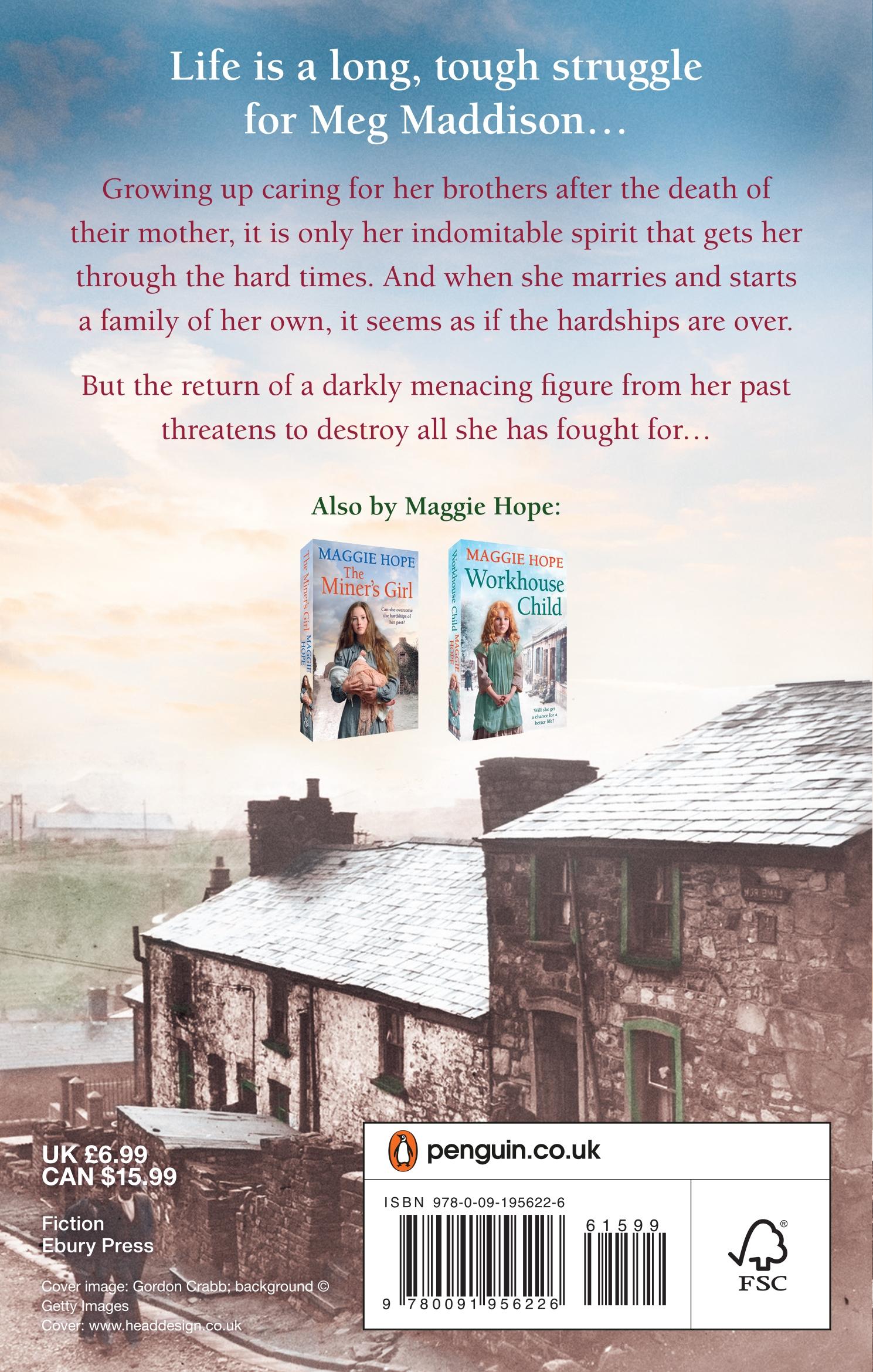 Rückseitencover An Orphan's Secret