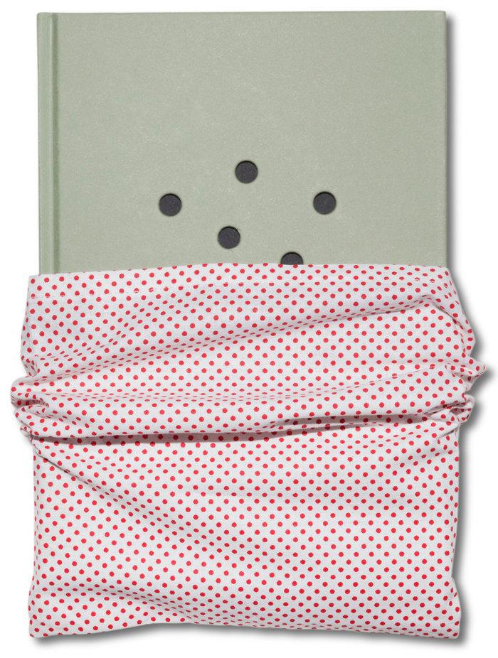 Vorderes Coverbild Cemre Yesil and Maria Sturm: For Birds' Sake