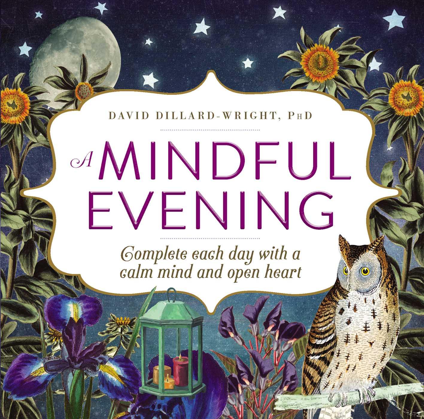Vorderes Coverbild A Mindful Evening
