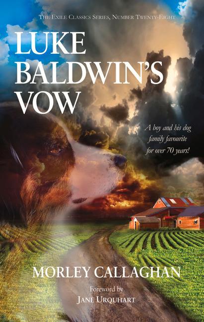 Vorderes Coverbild Luke Baldwin's Vow