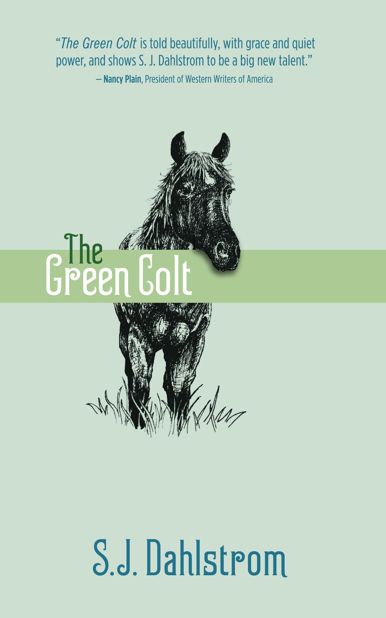 Vorderes Coverbild The Green Colt: The Adventures of Wilder Good #4