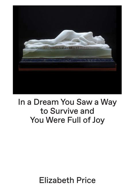 Vorderes Coverbild Elizabeth Price: In a Dream...