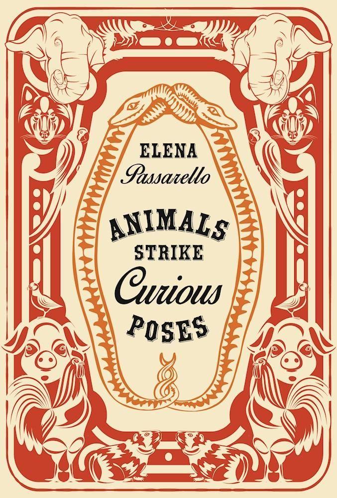 Vorderes Coverbild Animals Strike Curious Poses