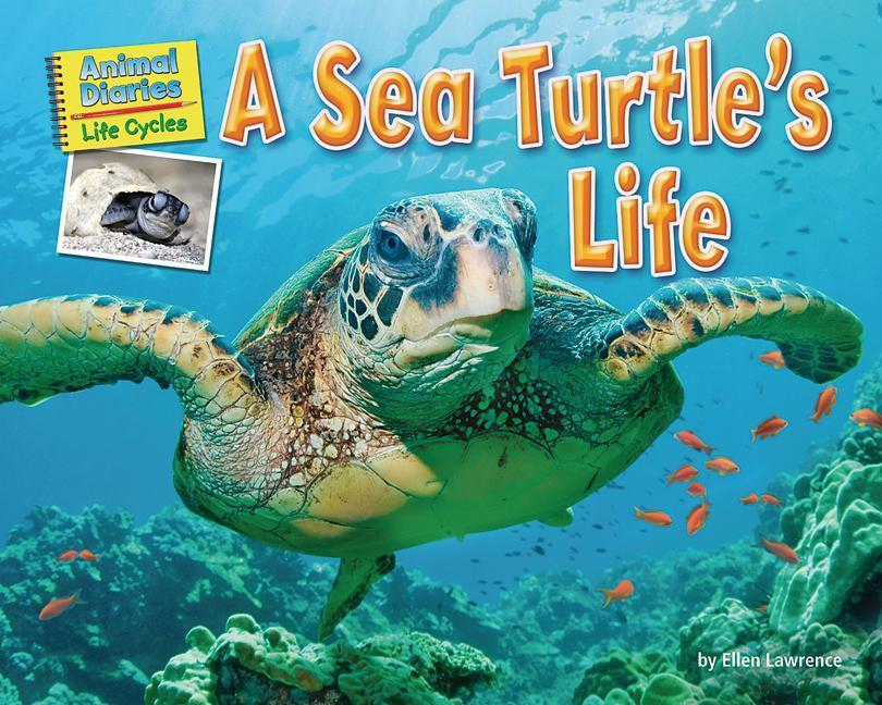 Vorderes Coverbild A Sea Turtle's Life