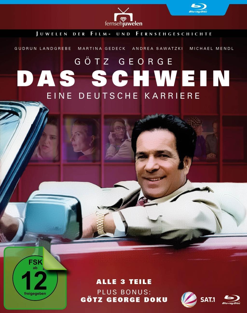 Vorderes Coverbild Das Schwein - Eine deutsche Karriere
