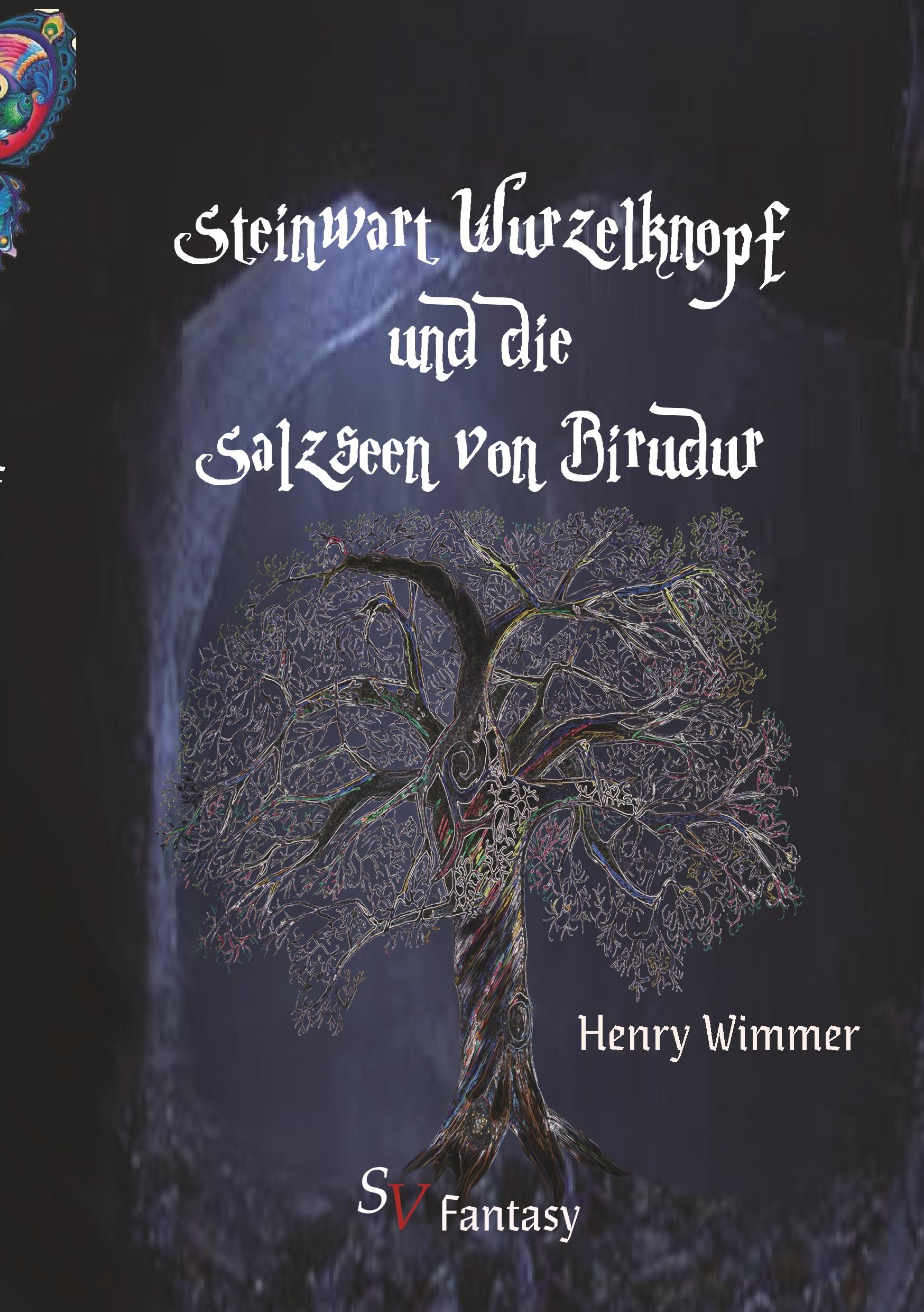Vorderes Coverbild Steinwart Wurzelknopf und die Salzseen von Birudur