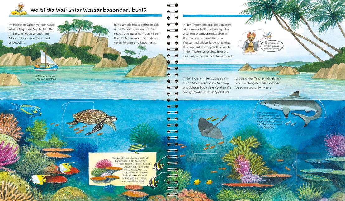 Beispielinhalt (Bild) Wieso? Weshalb? Warum?, Band 61: Wir entdecken die Wunder der Natur