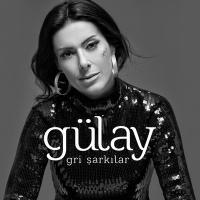 Vorderes Coverbild Gri Sarkilar