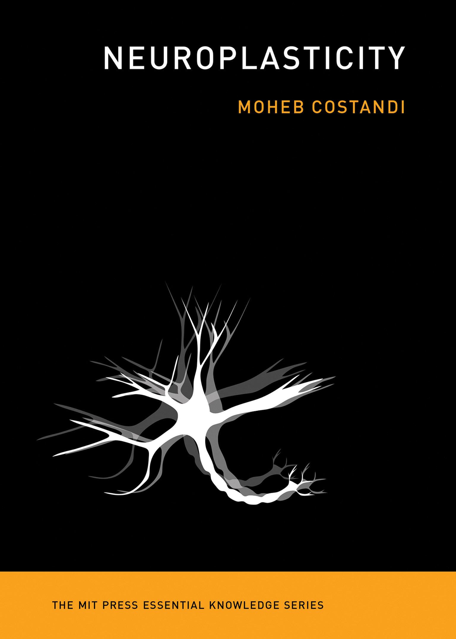 Vorderes Coverbild Neuroplasticity