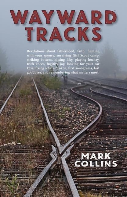 Vorderes Coverbild Wayward Tracks