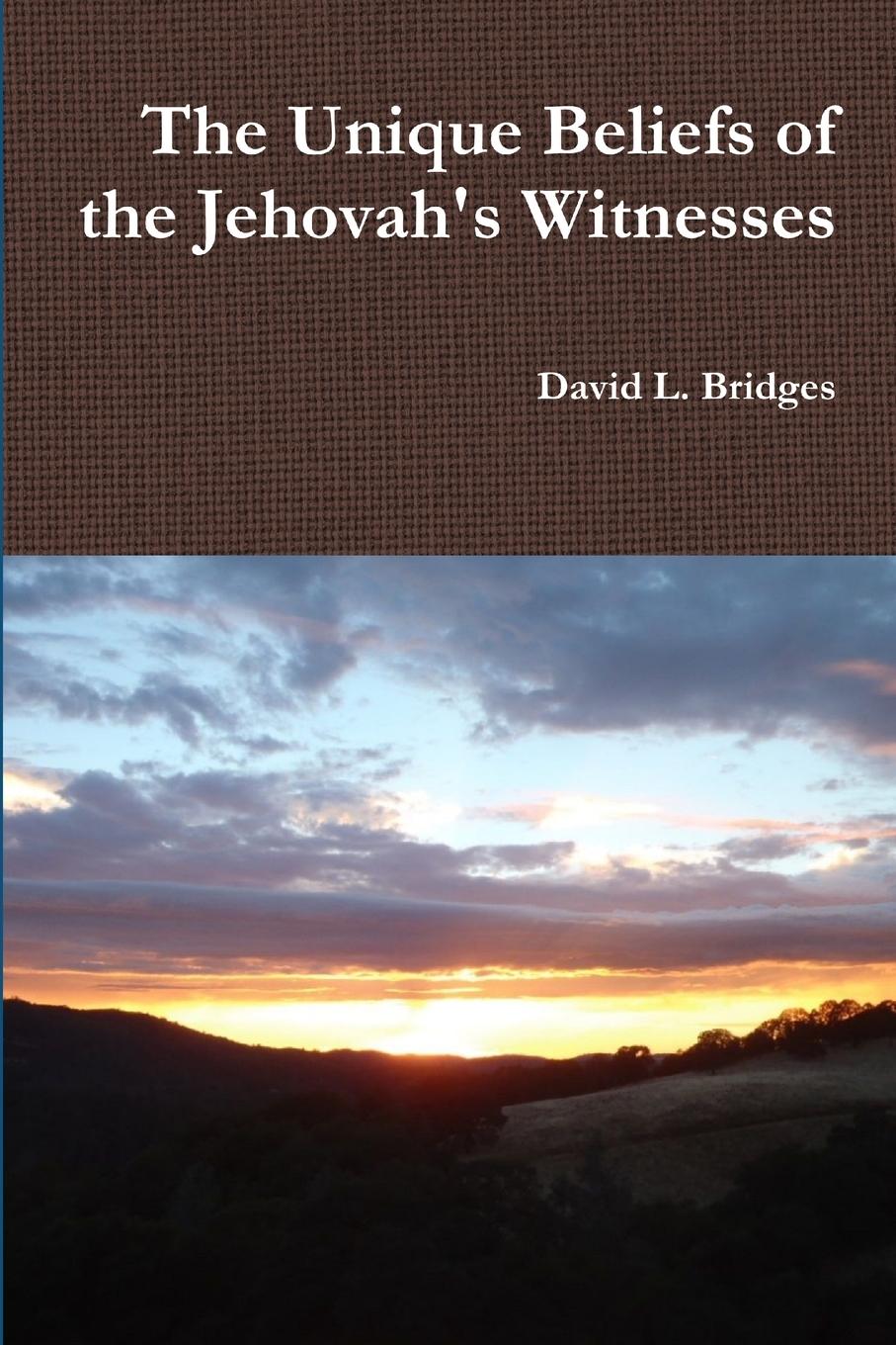 Vorderes Coverbild The Unique Beliefs of the Jehovah's Witnesses