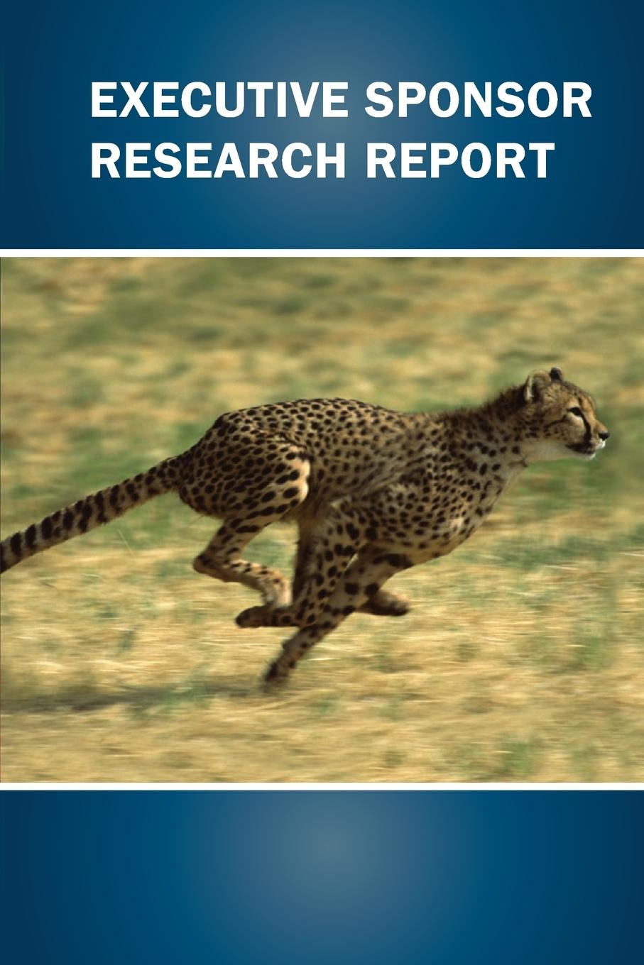 Vorderes Coverbild Executive Sponsor Research Report