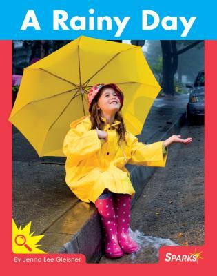 Vorderes Coverbild A Rainy Day