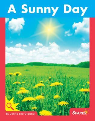 Vorderes Coverbild A Sunny Day