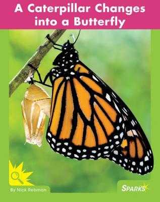 Vorderes Coverbild A Caterpillar Changes Into a Butterfly