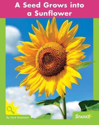 Vorderes Coverbild A Seed Grows Into a Sunflower
