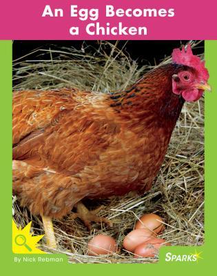 Vorderes Coverbild An Egg Becomes a Chicken