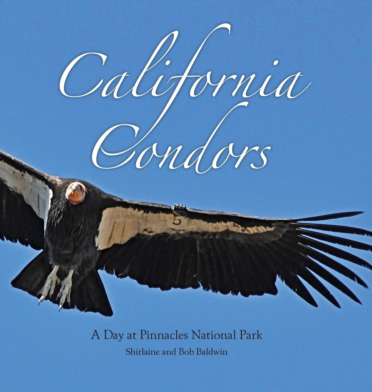 Vorderes Coverbild California Condors