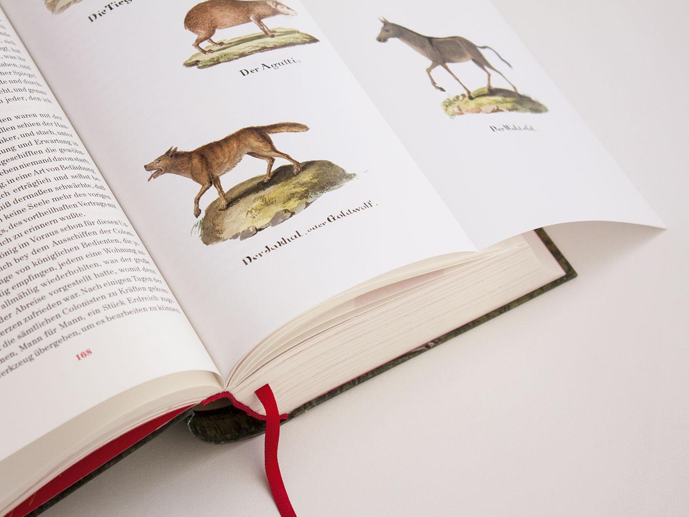 Beispielinhalt (Bild) Der Schweizerische Robinson