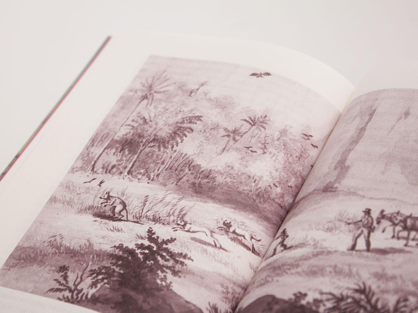 Beispielinhalt (Bild) Der Schweizerische Robinson