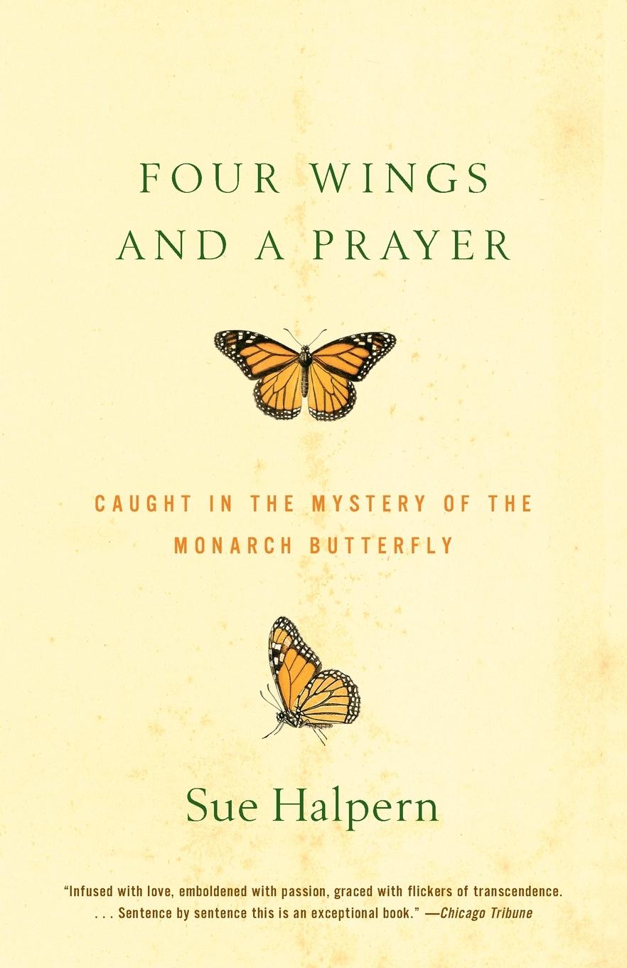 Vorderes Coverbild Four Wings and a Prayer