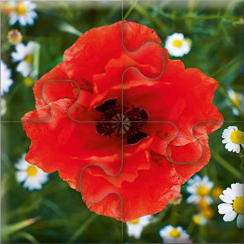 Beispielinhalt (Bild) Das "Gelingt-immer"-Puzzle Wiesenblumen
