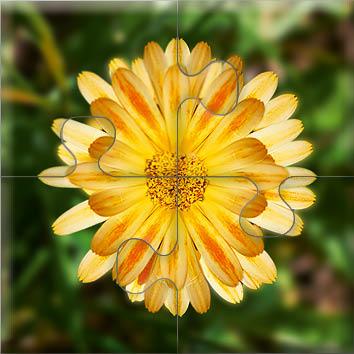 Beispielinhalt (Bild) Das "Gelingt-immer"-Puzzle Wiesenblumen