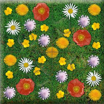 Beispielinhalt (Bild) Das "Gelingt-immer"-Puzzle Wiesenblumen