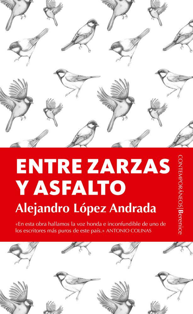Vorderes Coverbild Entre zarzas y asfalto