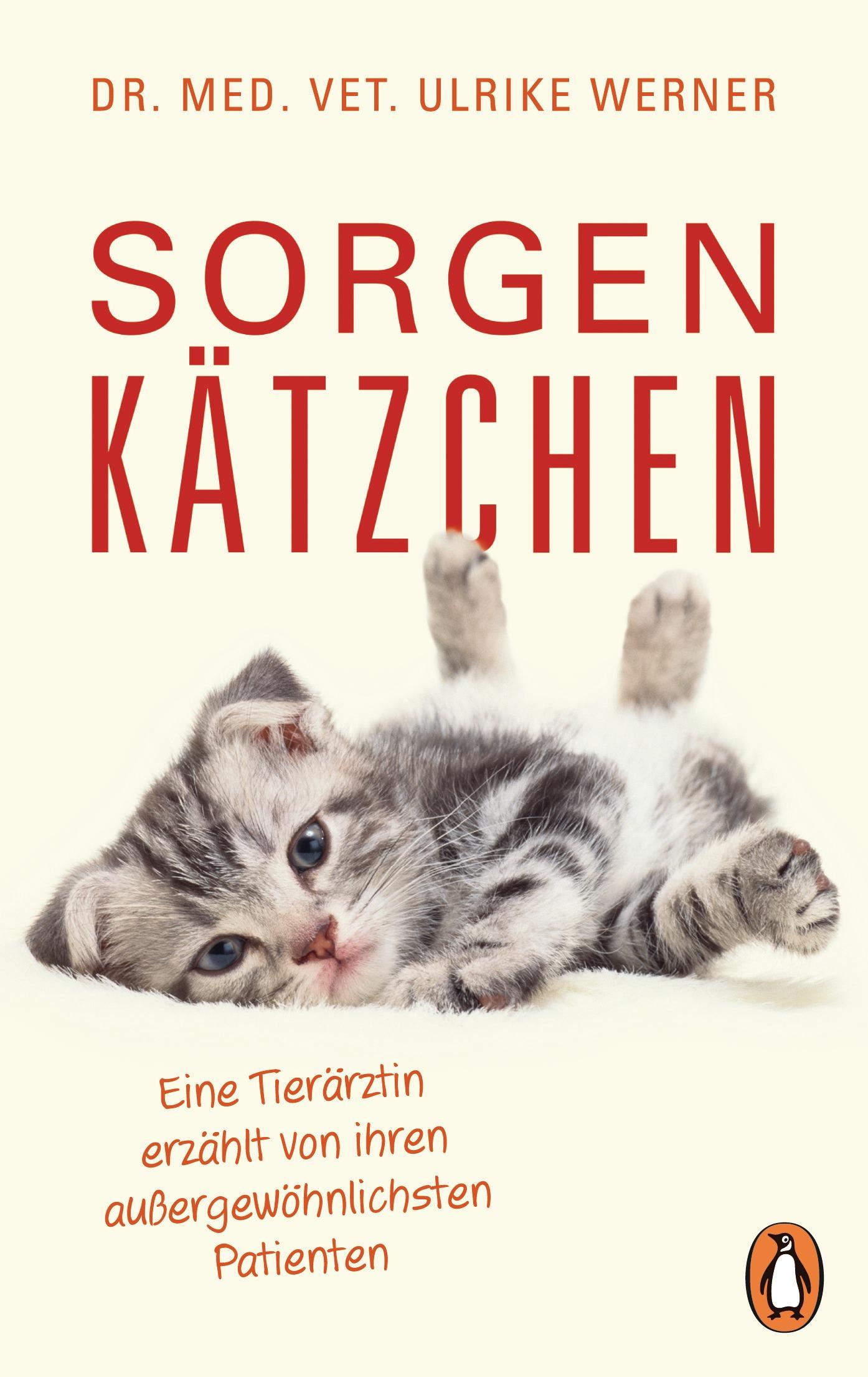 Vorderes Coverbild Sorgenkätzchen