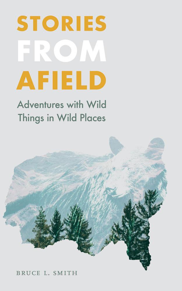 Vorderes Coverbild Stories from Afield