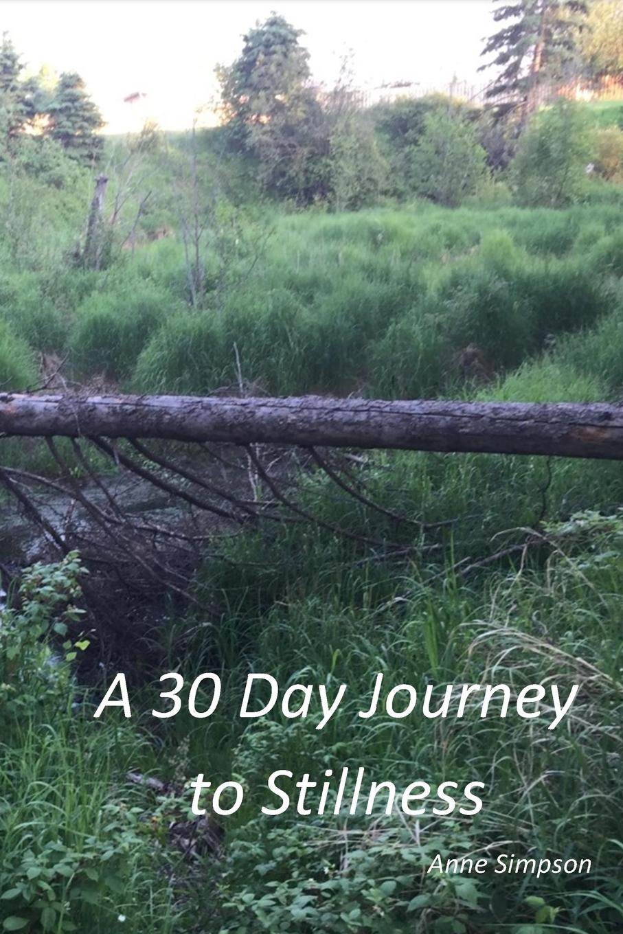 Vorderes Coverbild A 30 Day Journey to Stillness